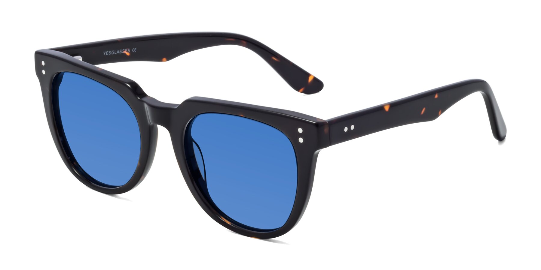 Angle of Graceful in Tortoise with Blue Tinted Lenses