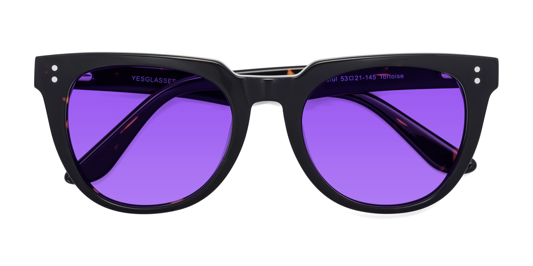 Folded Front of Graceful in Tortoise with Purple Tinted Lenses