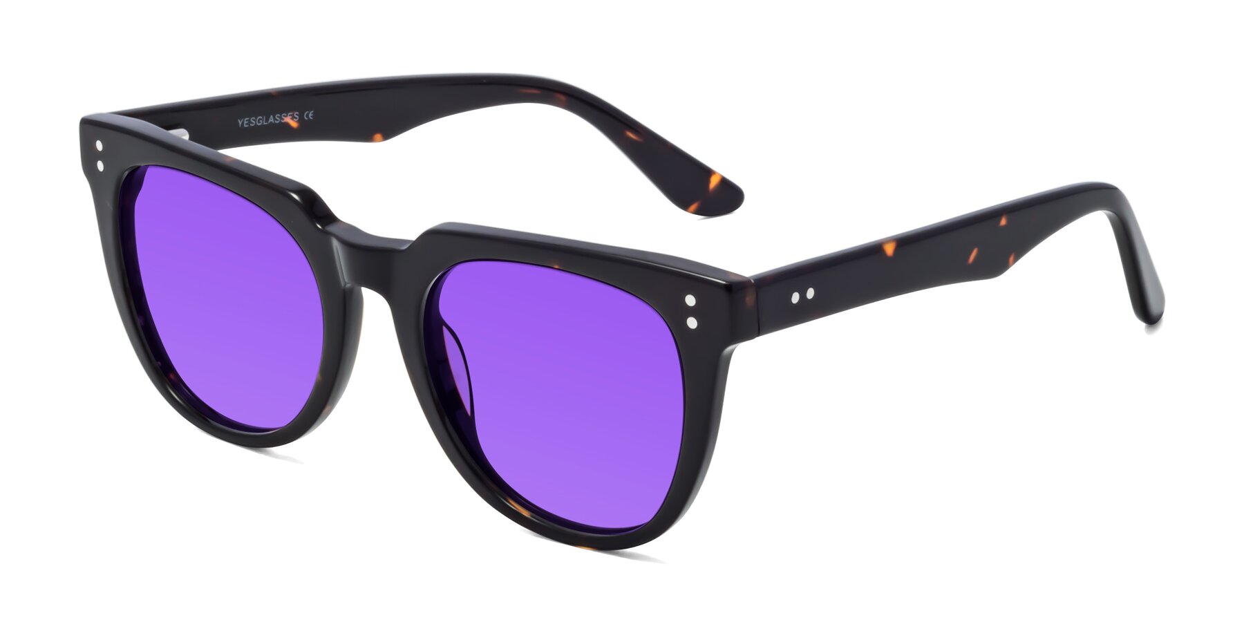 Angle of Graceful in Tortoise with Purple Tinted Lenses