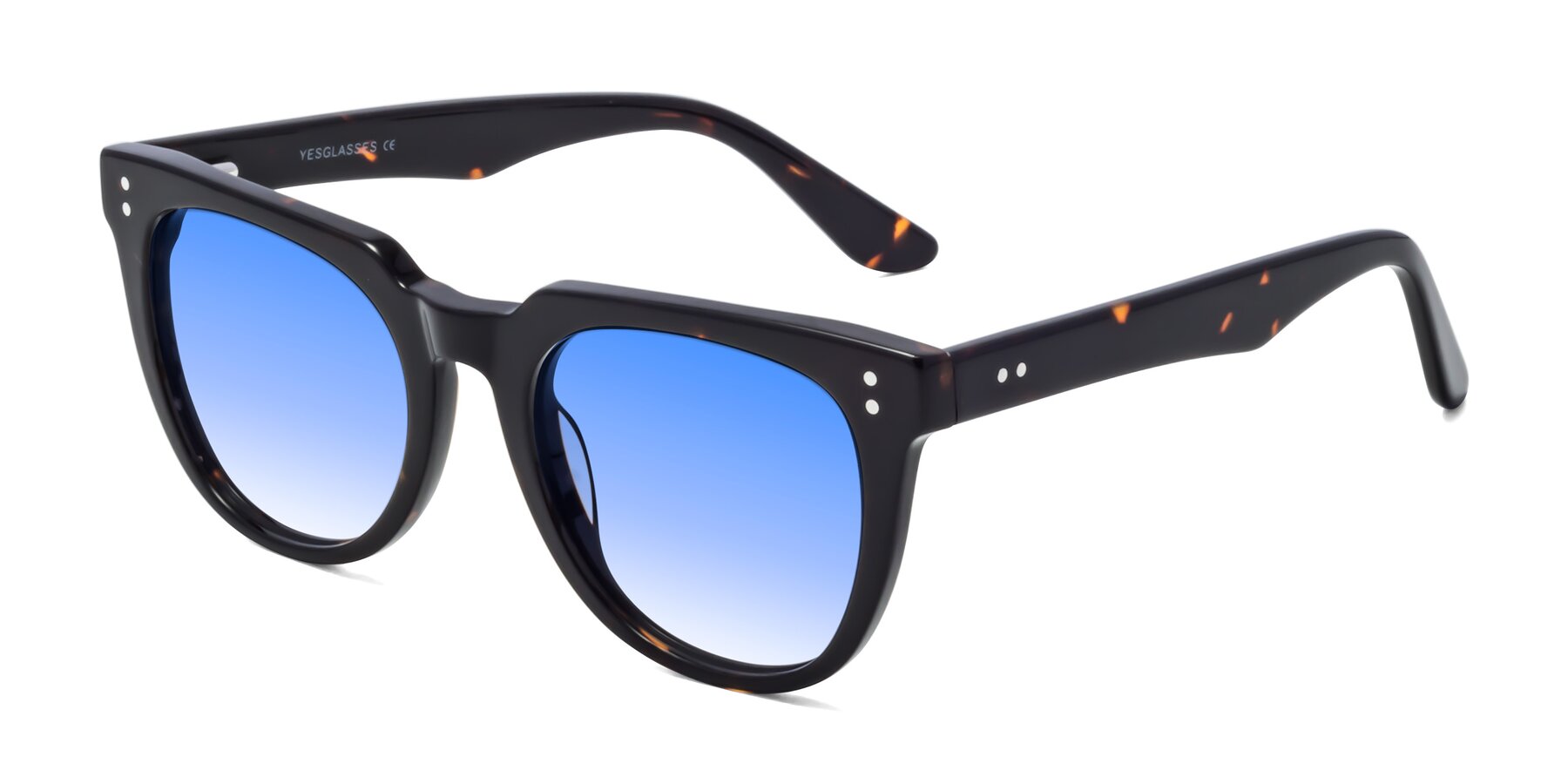 Angle of Graceful in Tortoise with Blue Gradient Lenses