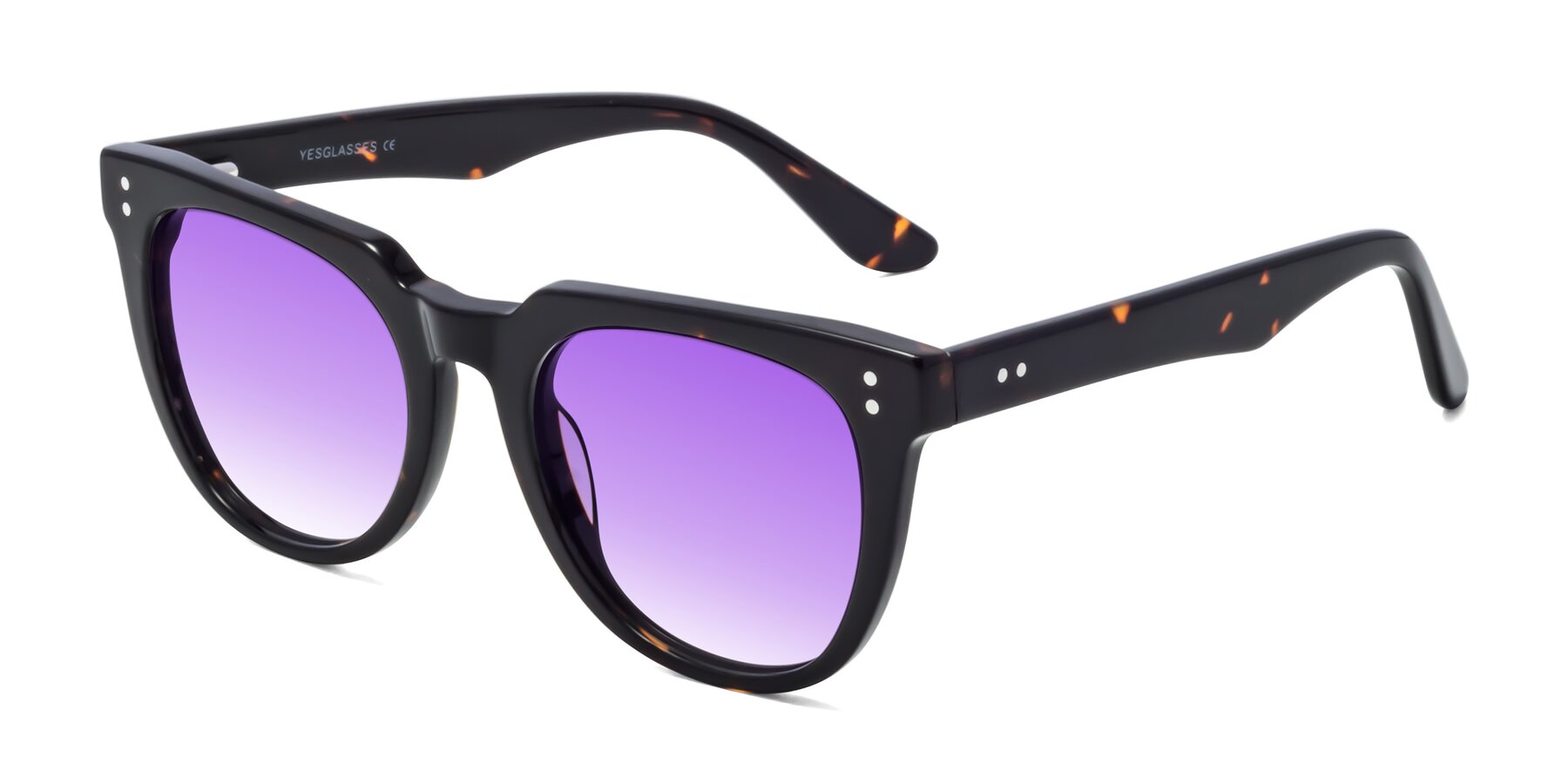 Angle of Graceful in Tortoise with Purple Gradient Lenses