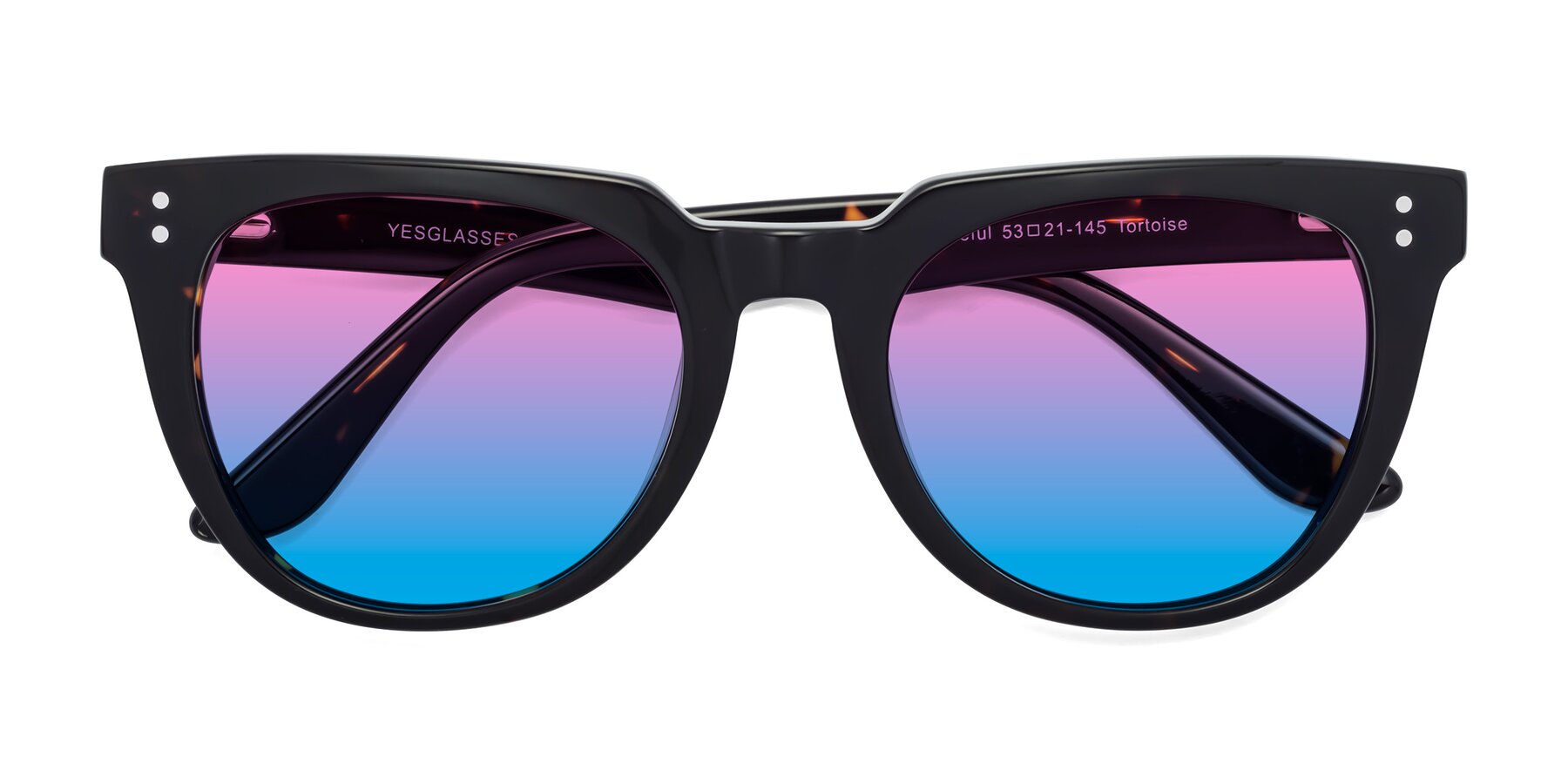 Folded Front of Graceful in Tortoise with Pink / Blue Gradient Lenses
