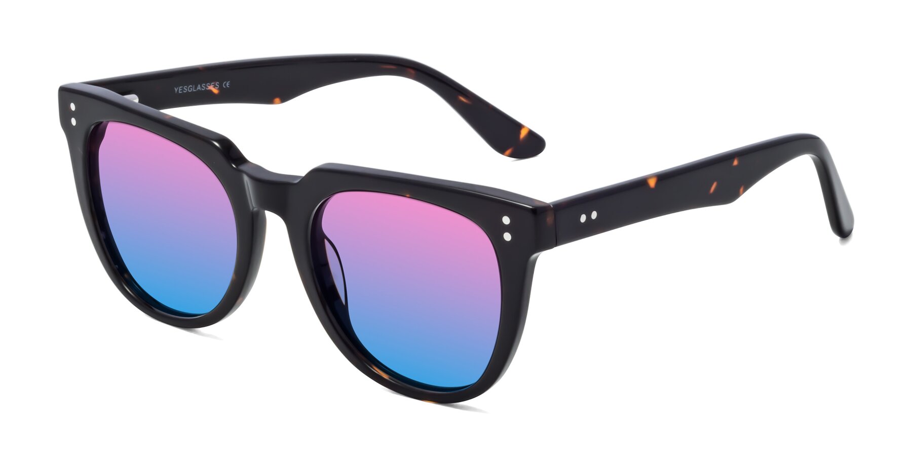 Angle of Graceful in Tortoise with Pink / Blue Gradient Lenses