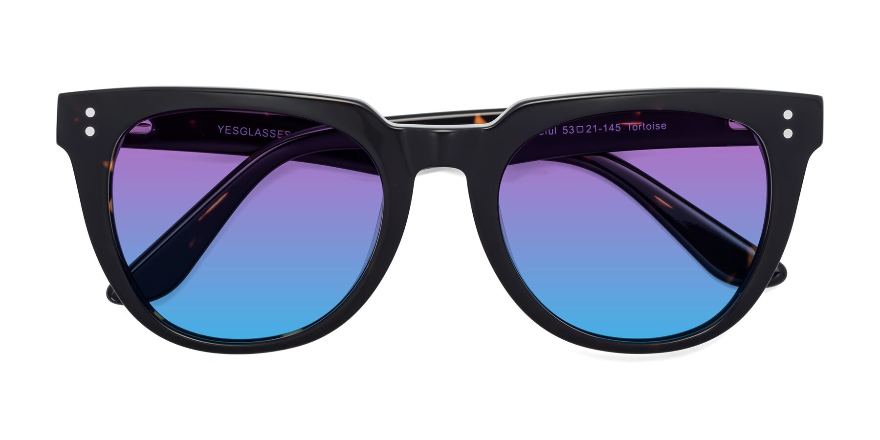 Folded Front of Graceful in Tortoise with Purple / Blue Gradient Lenses