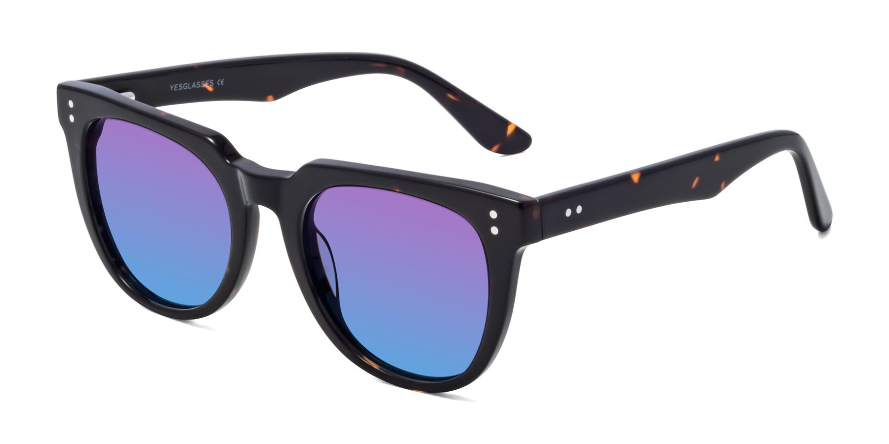 Angle of Graceful in Tortoise with Purple / Blue Gradient Lenses