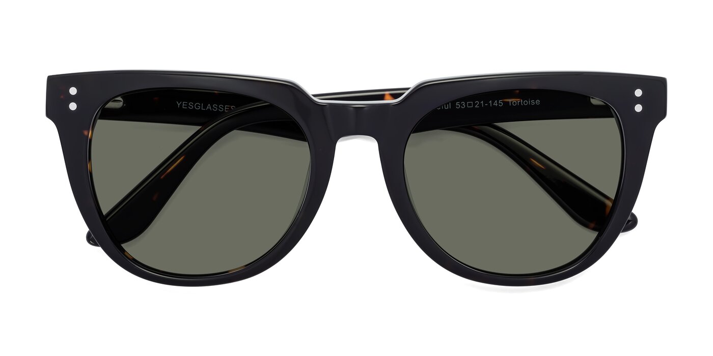 Graceful - Tortoise Polarized Sunglasses