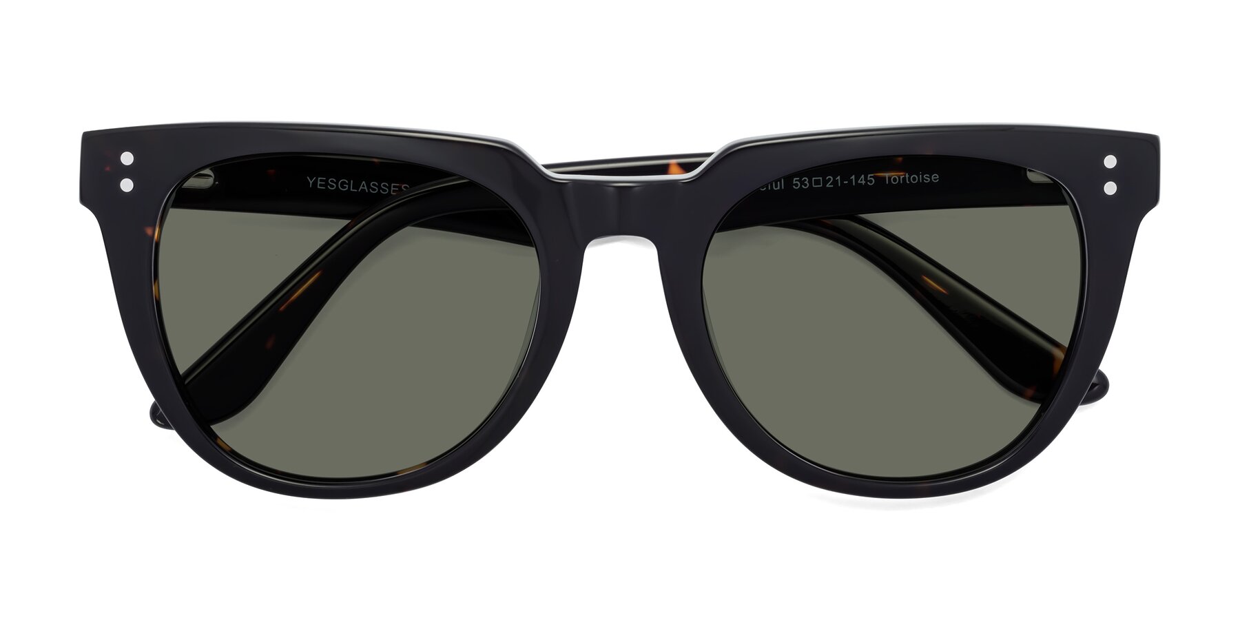 Folded Front of Graceful in Tortoise with Gray Polarized Lenses