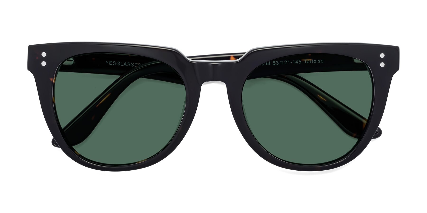 Folded Front of Graceful in Tortoise with Green Polarized Lenses