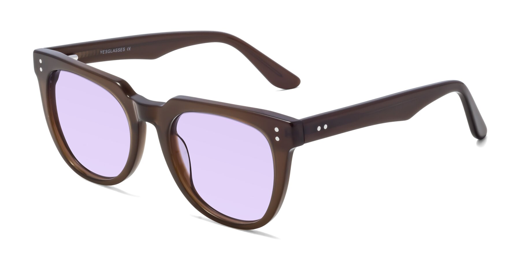 Angle of Graceful in Coffee with Light Purple Tinted Lenses