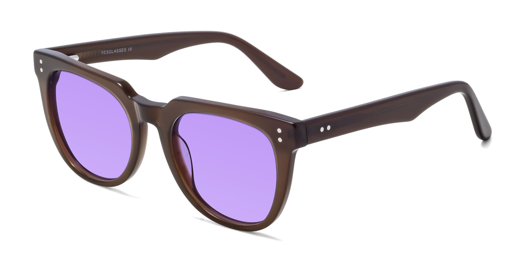 Angle of Graceful in Coffee with Medium Purple Tinted Lenses