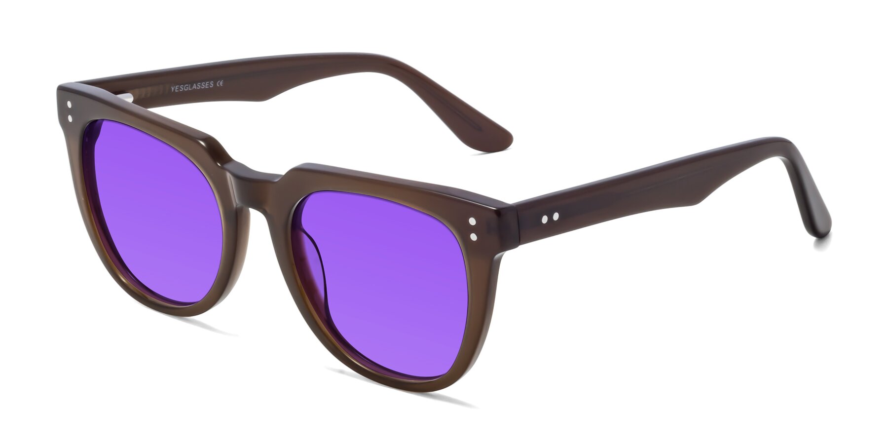 Angle of Graceful in Coffee with Purple Tinted Lenses