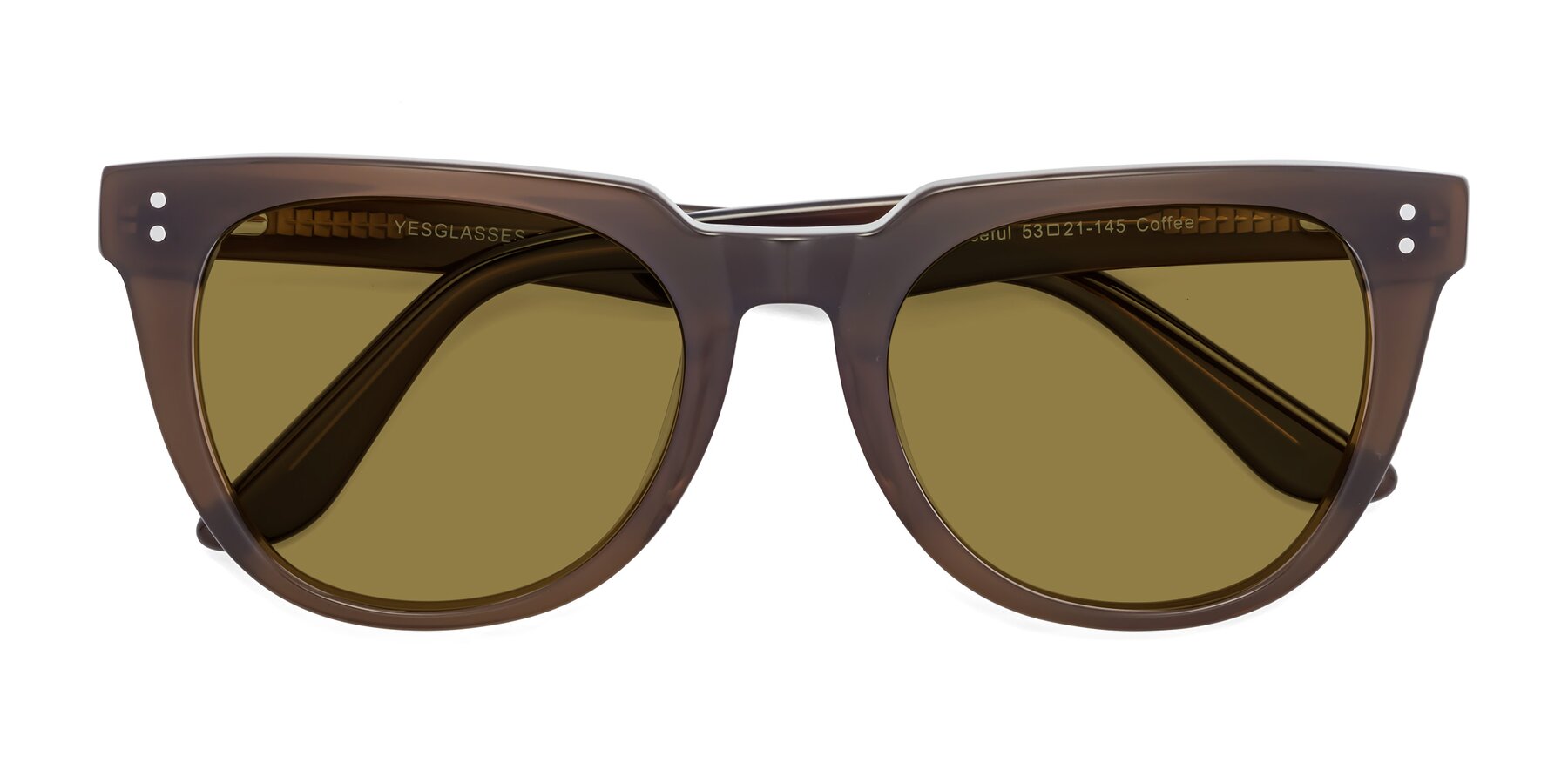 Folded Front of Graceful in Coffee with Brown Polarized Lenses