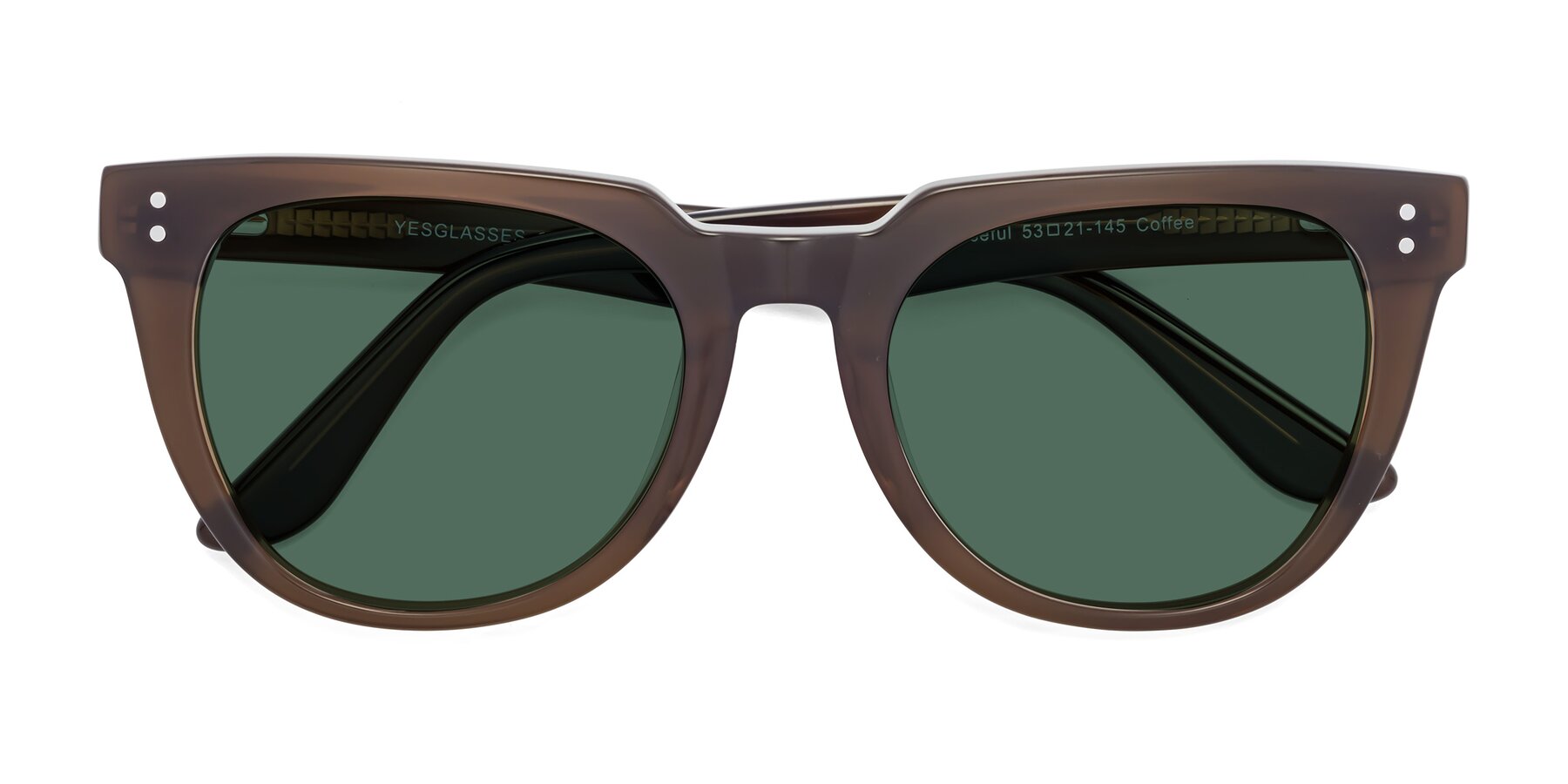 Folded Front of Graceful in Coffee with Green Polarized Lenses