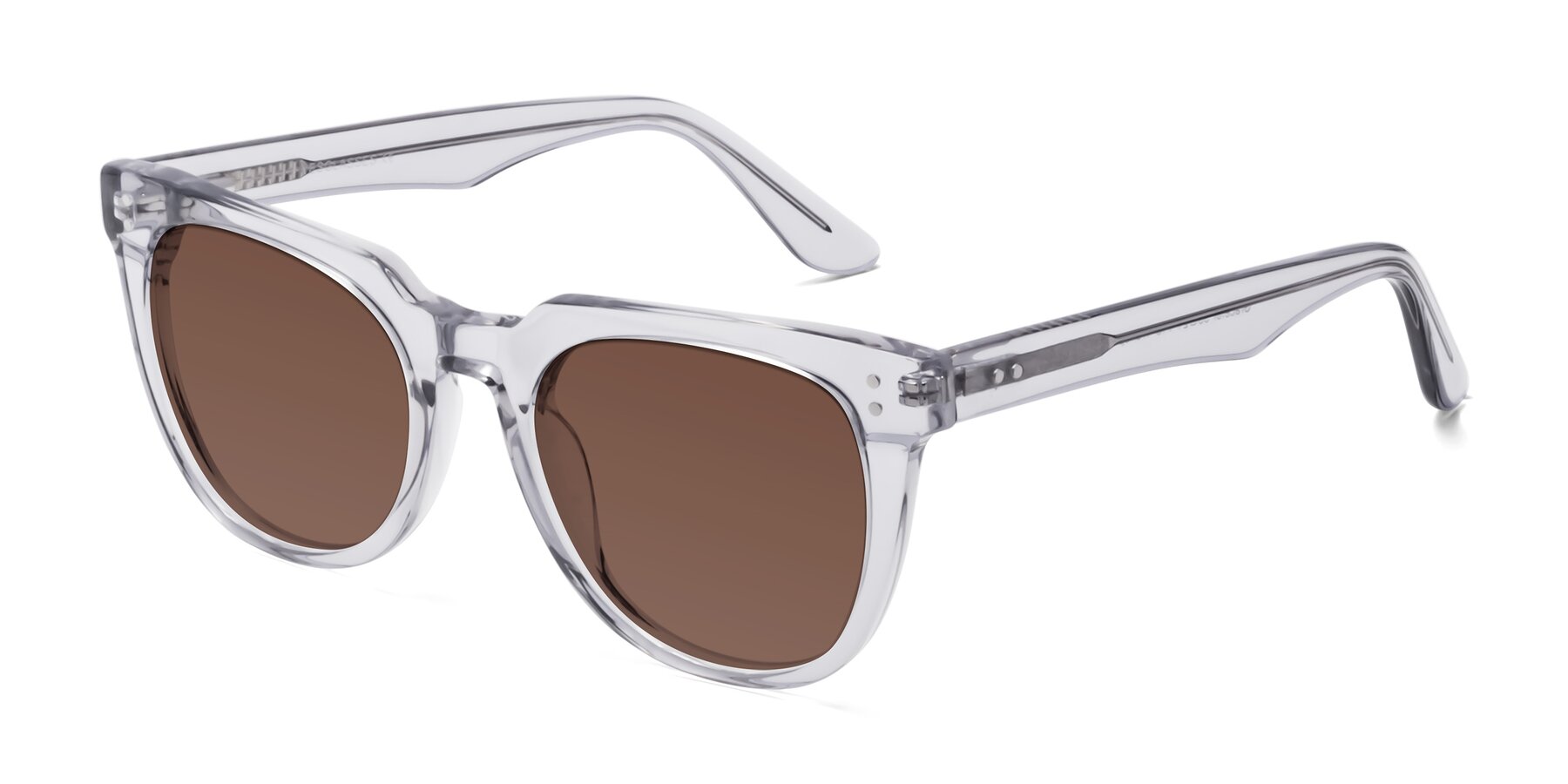 Angle of Graceful in Transprent Gray with Brown Tinted Lenses