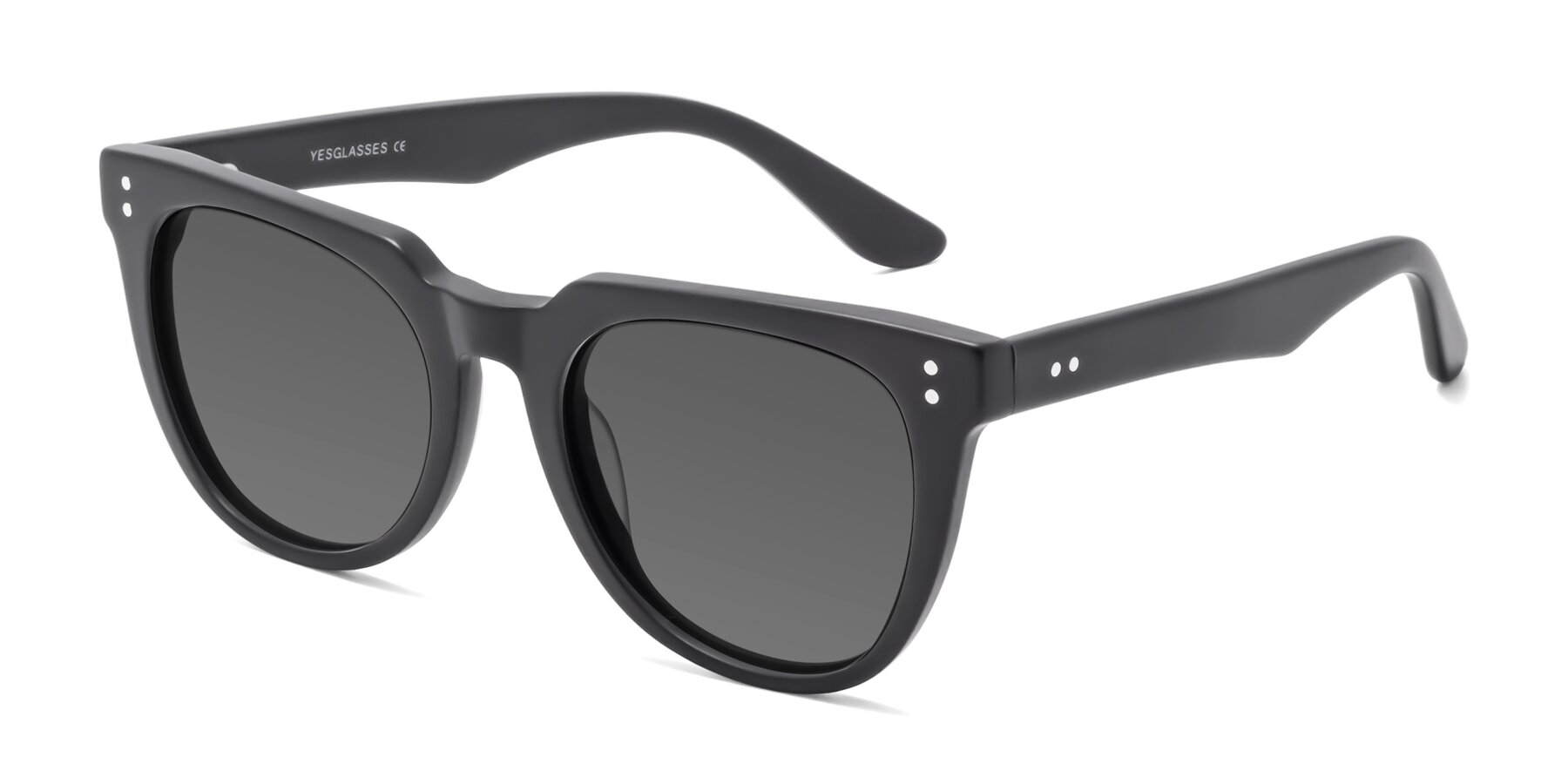 Angle of Graceful in Matte Black with Medium Gray Tinted Lenses