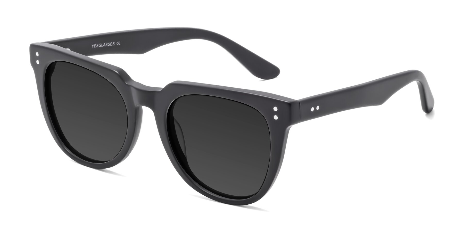 Angle of Graceful in Matte Black with Gray Tinted Lenses