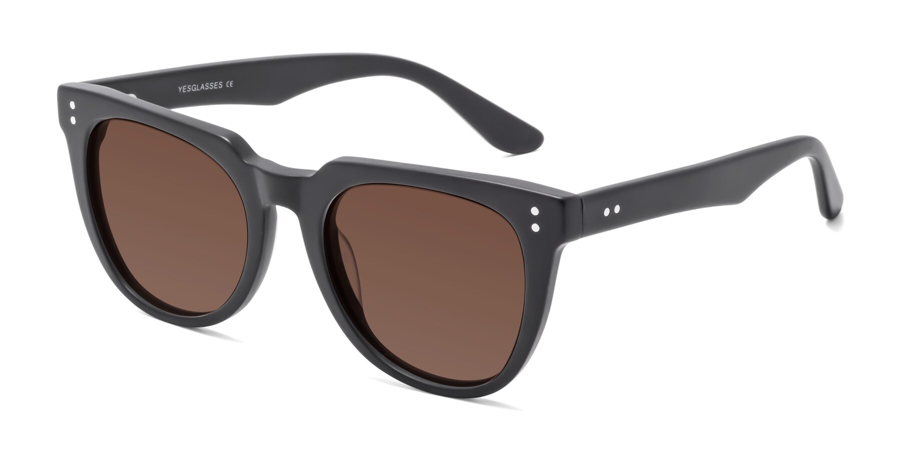 Angle of Graceful in Matte Black with Brown Tinted Lenses
