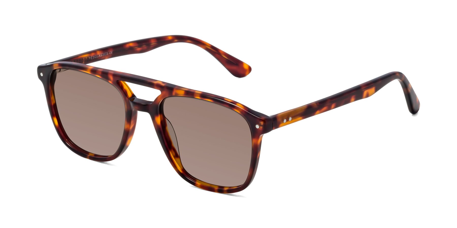 Angle of Quantum in Tortoise with Medium Brown Tinted Lenses