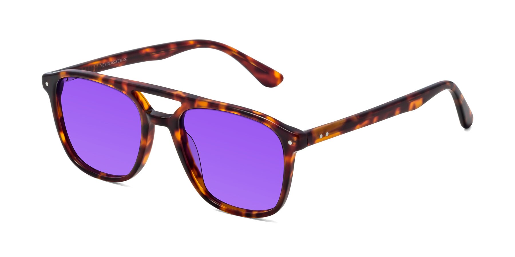 Angle of Quantum in Tortoise with Purple Tinted Lenses