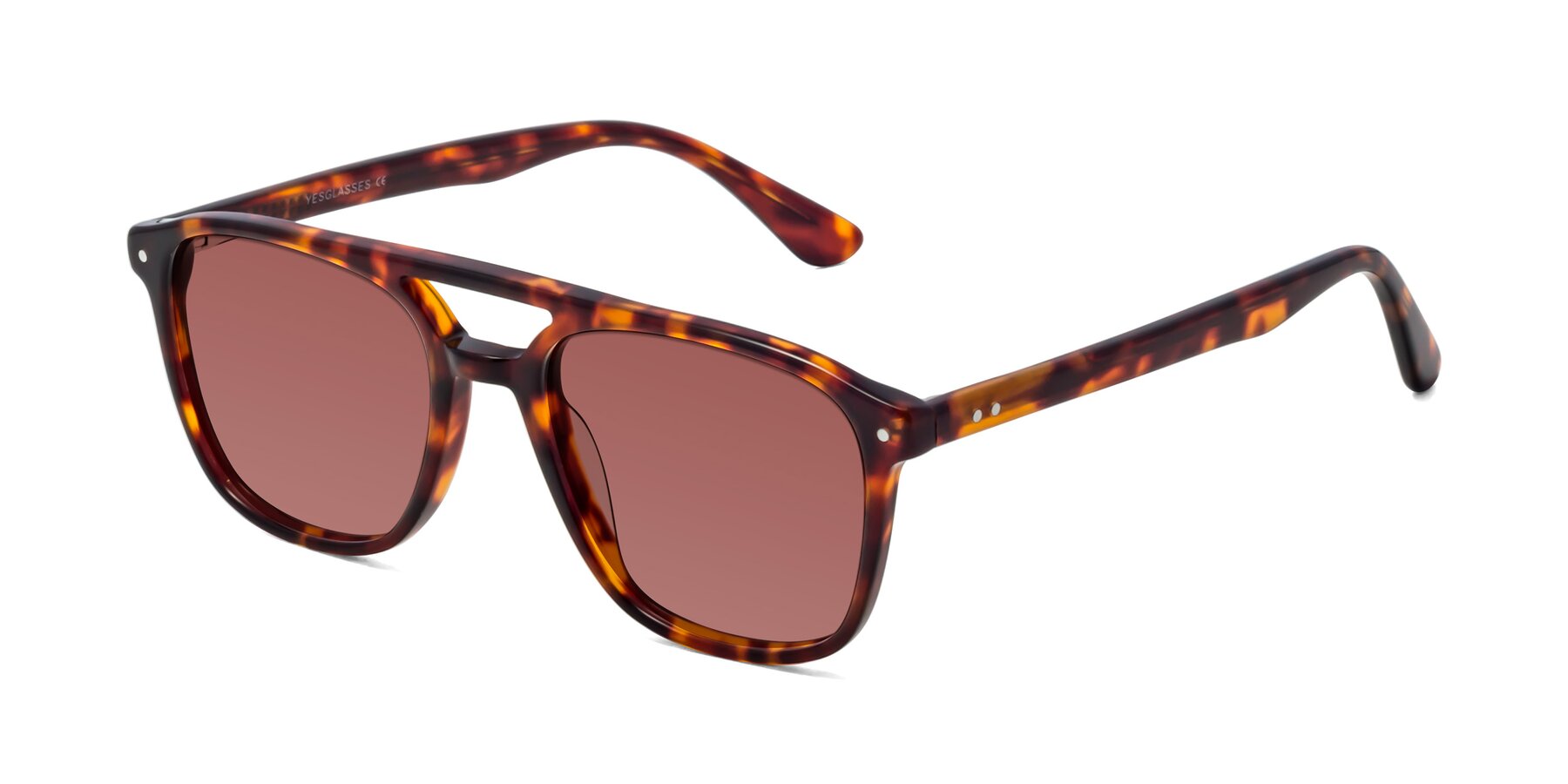 Angle of Quantum in Tortoise with Garnet Tinted Lenses