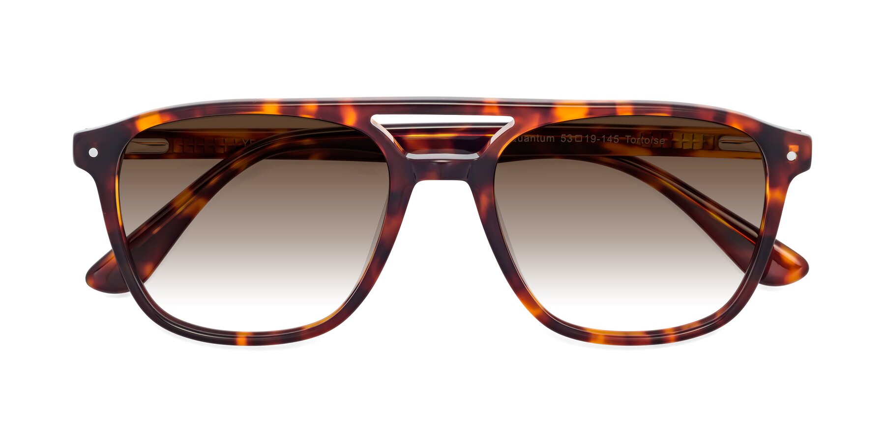 Folded Front of Quantum in Tortoise with Brown Gradient Lenses