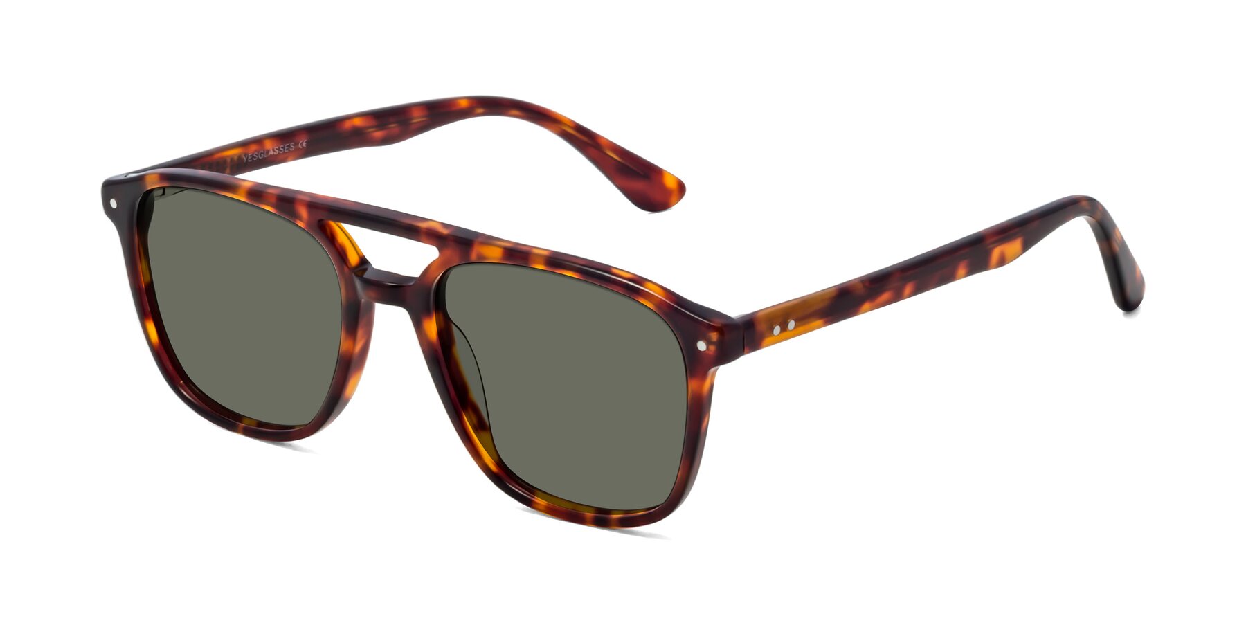 Angle of Quantum in Tortoise with Gray Polarized Lenses