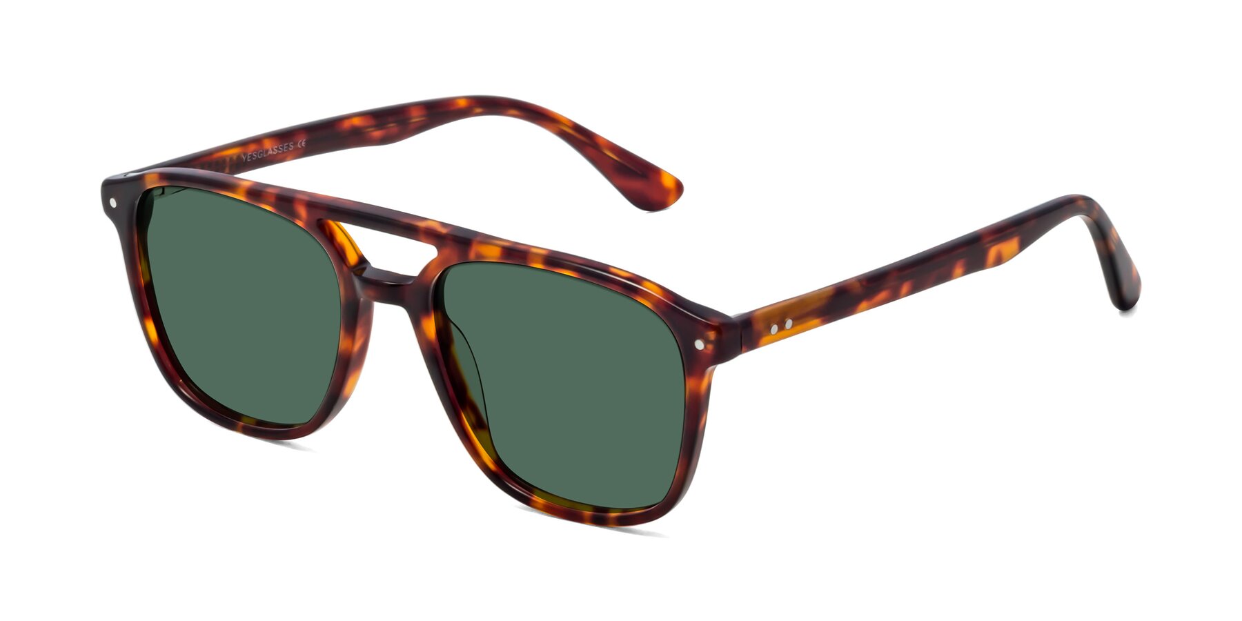 Angle of Quantum in Tortoise with Green Polarized Lenses
