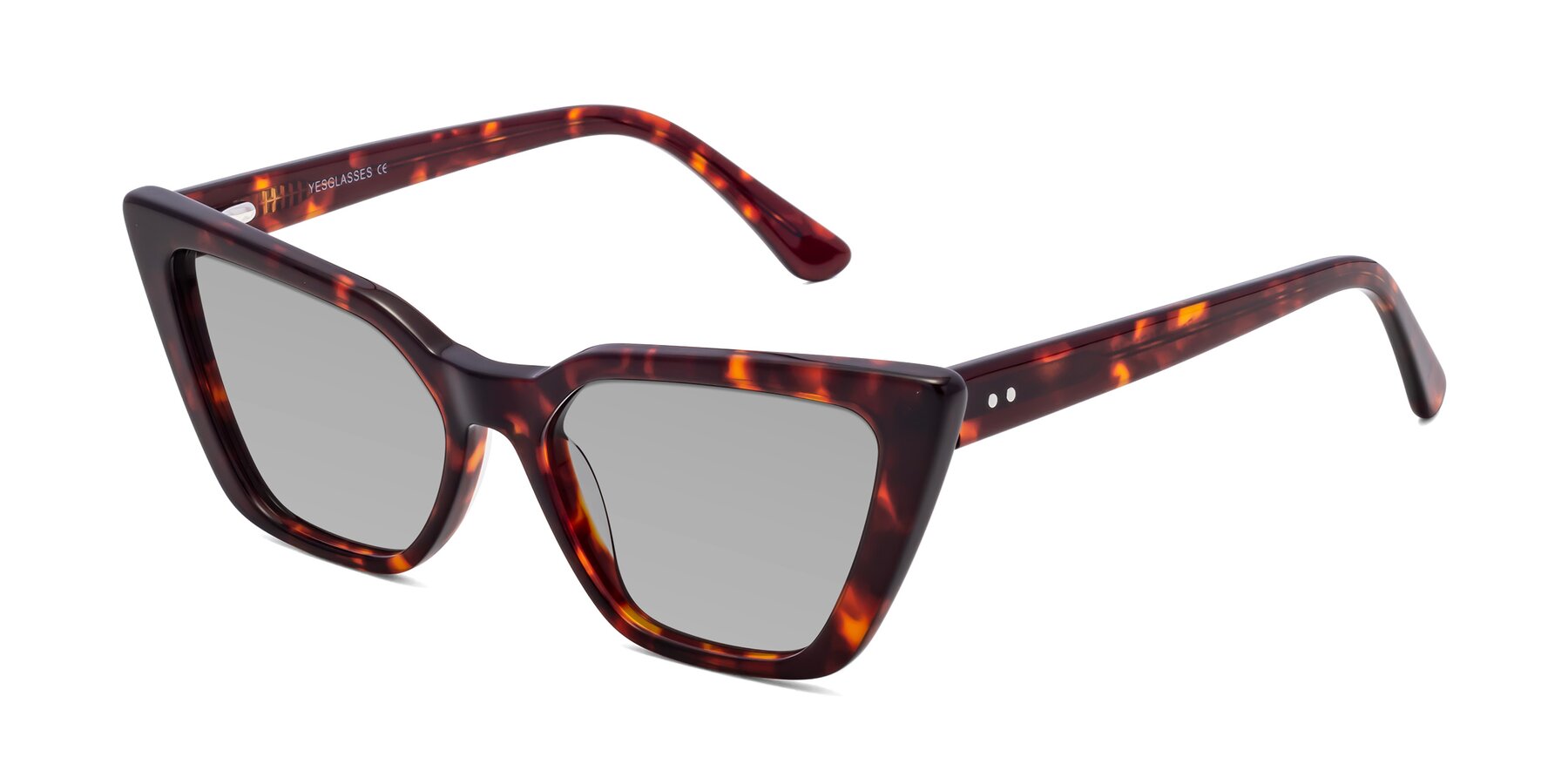 Angle of Bowtie in Tortoise with Light Gray Tinted Lenses