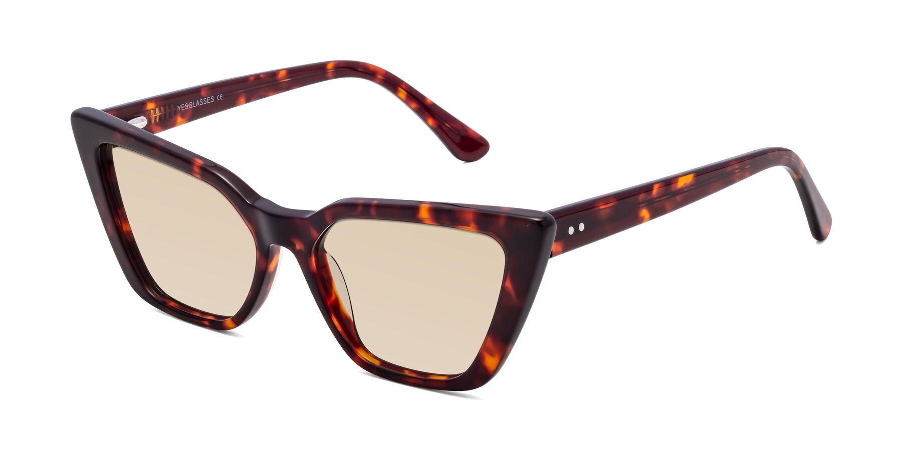 Angle of Bowtie in Tortoise with Light Brown Tinted Lenses