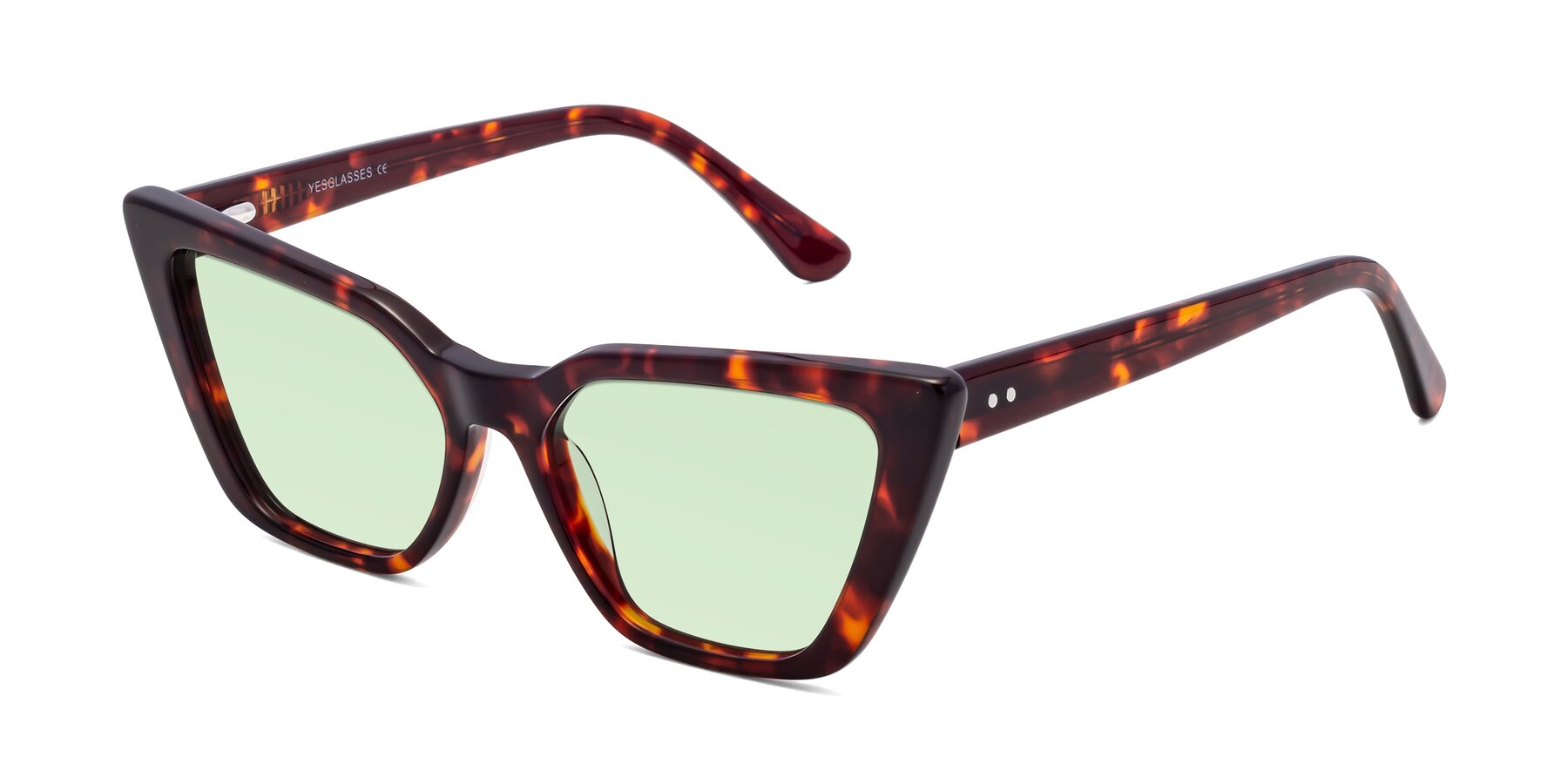 Angle of Bowtie in Tortoise with Light Green Tinted Lenses