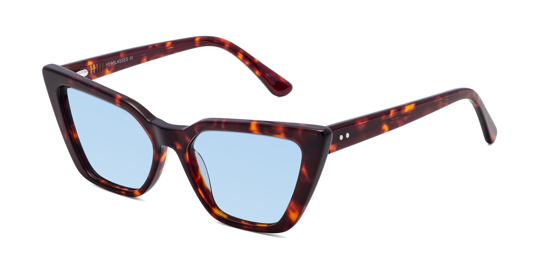 Angle of Bowtie in Tortoise with Light Blue Tinted Lenses