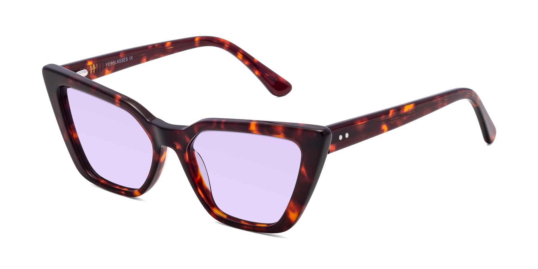 Angle of Bowtie in Tortoise with Light Purple Tinted Lenses