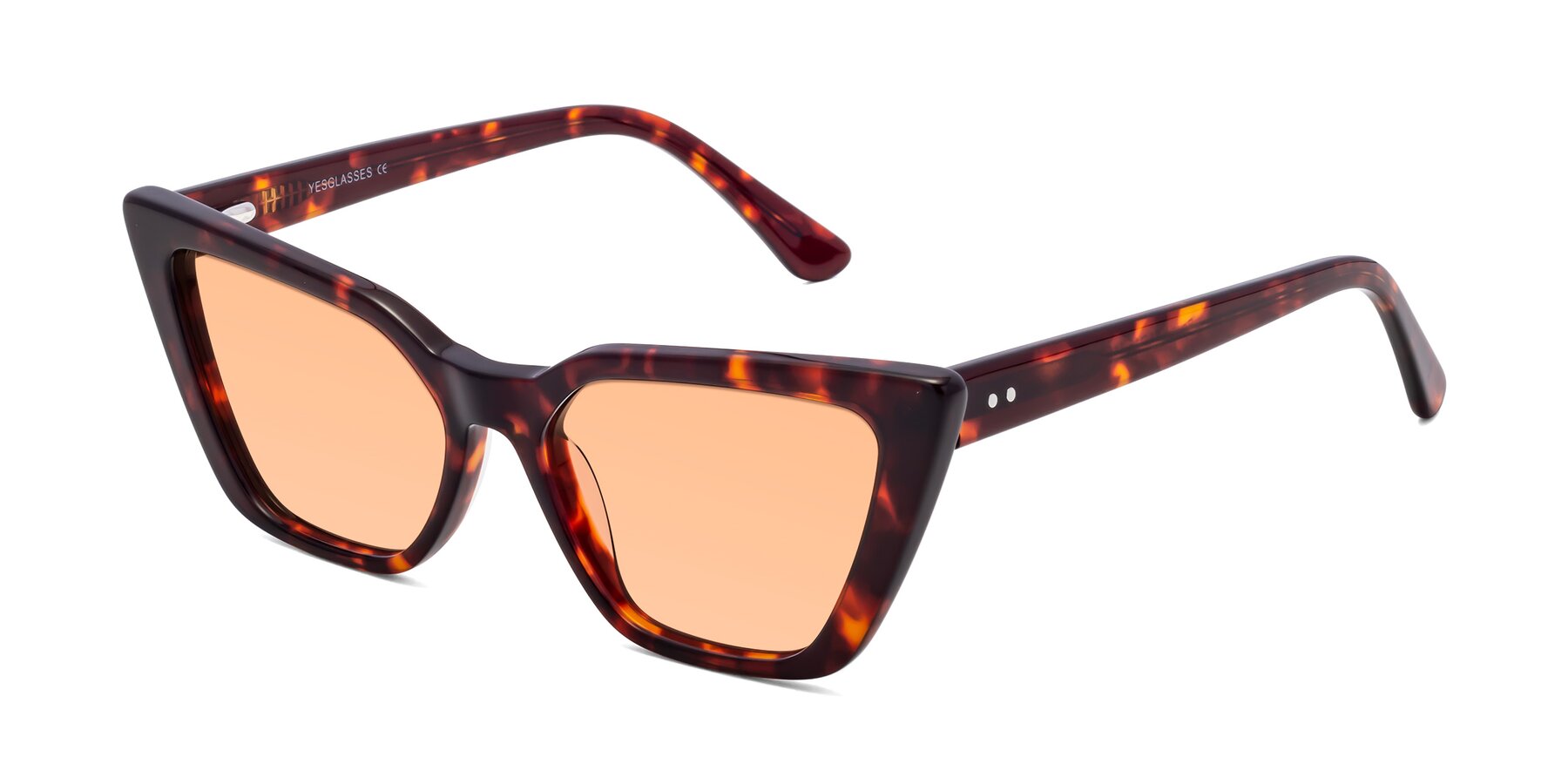 Angle of Bowtie in Tortoise with Light Orange Tinted Lenses