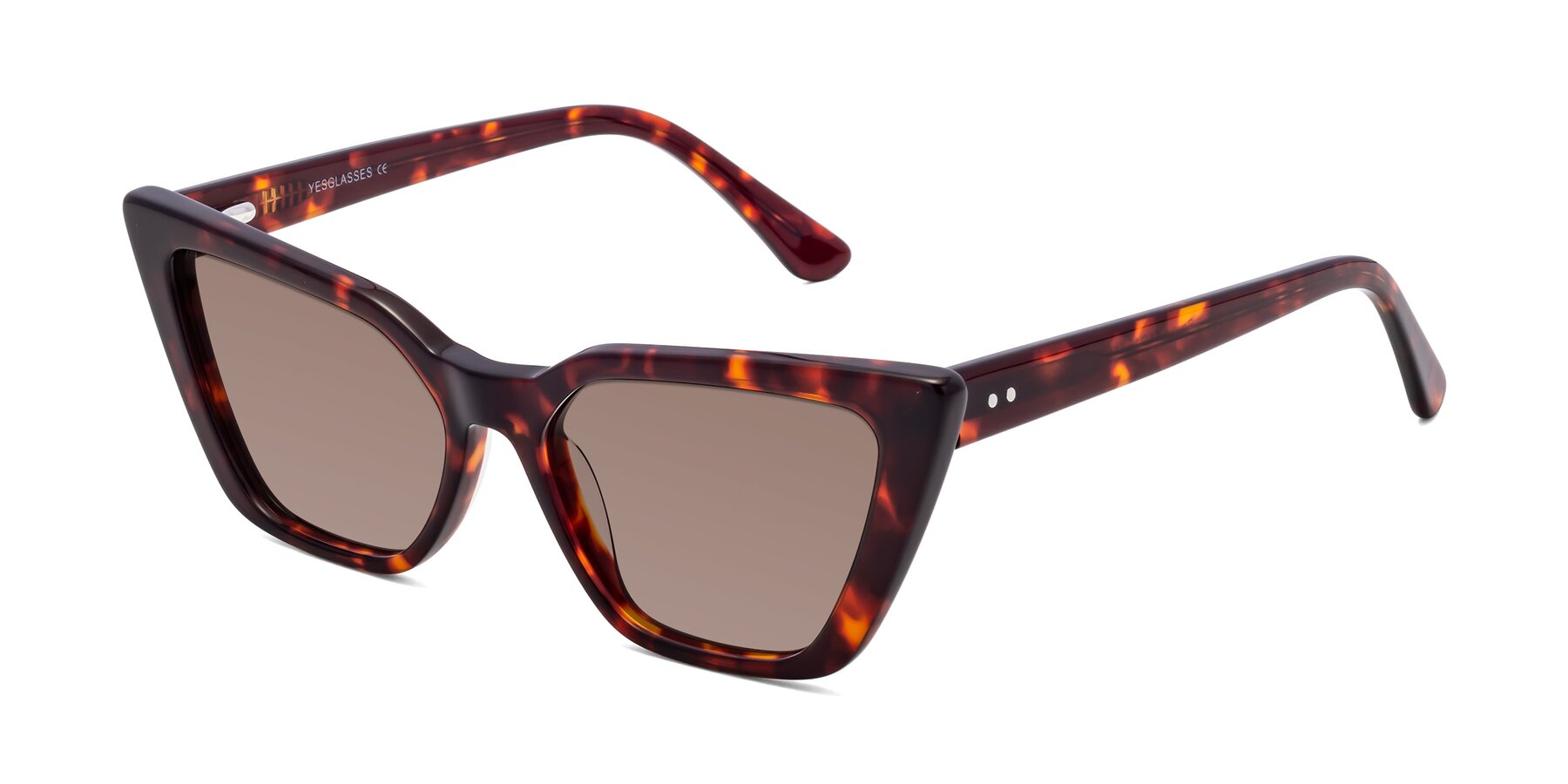 Angle of Bowtie in Tortoise with Medium Brown Tinted Lenses
