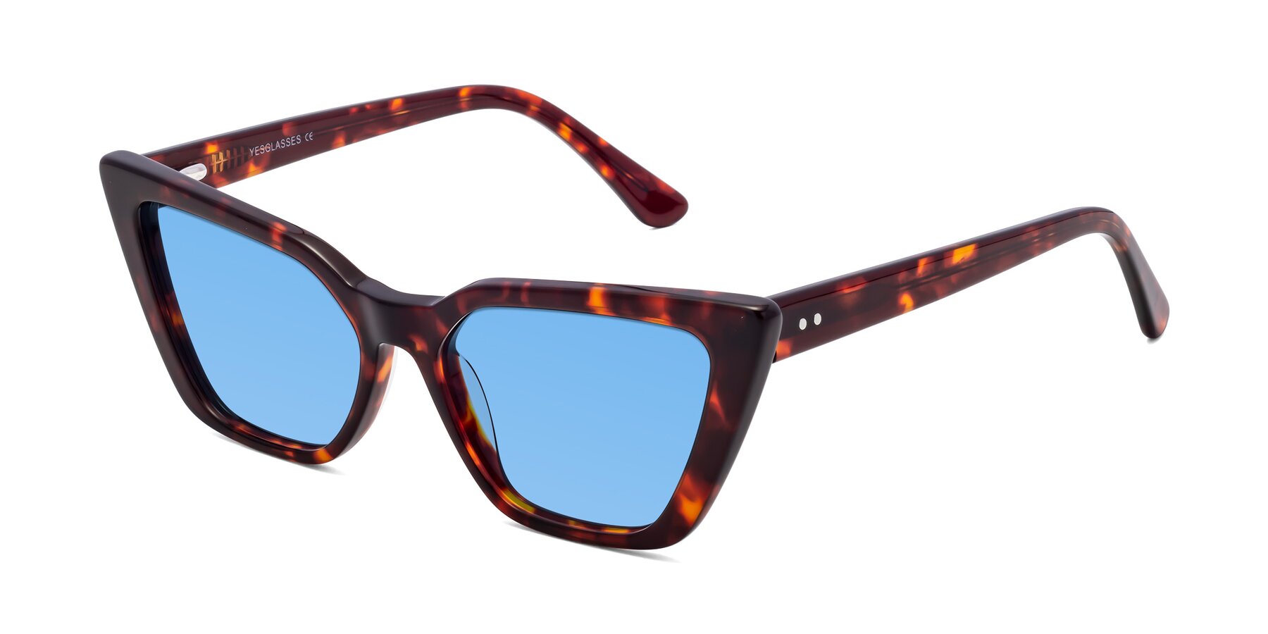 Angle of Bowtie in Tortoise with Medium Blue Tinted Lenses