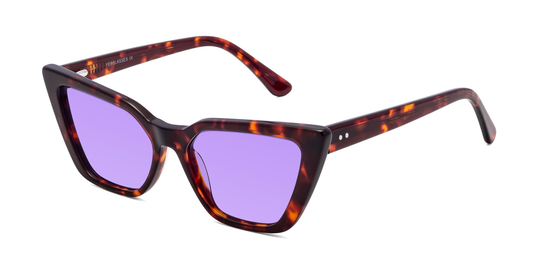 Angle of Bowtie in Tortoise with Medium Purple Tinted Lenses