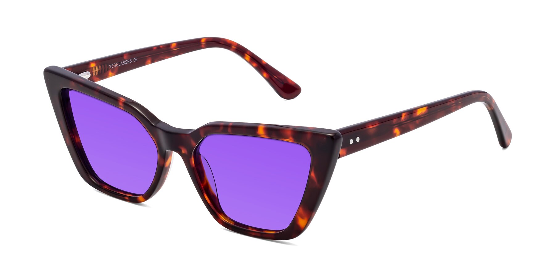 Angle of Bowtie in Tortoise with Purple Tinted Lenses