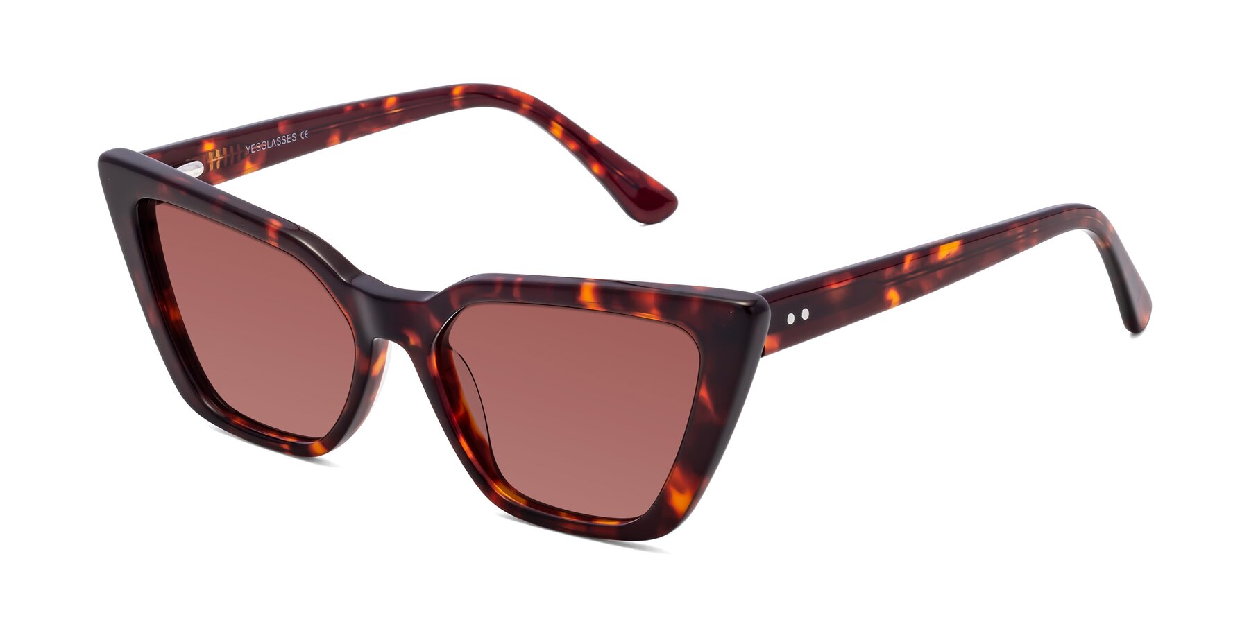 Angle of Bowtie in Tortoise with Garnet Tinted Lenses