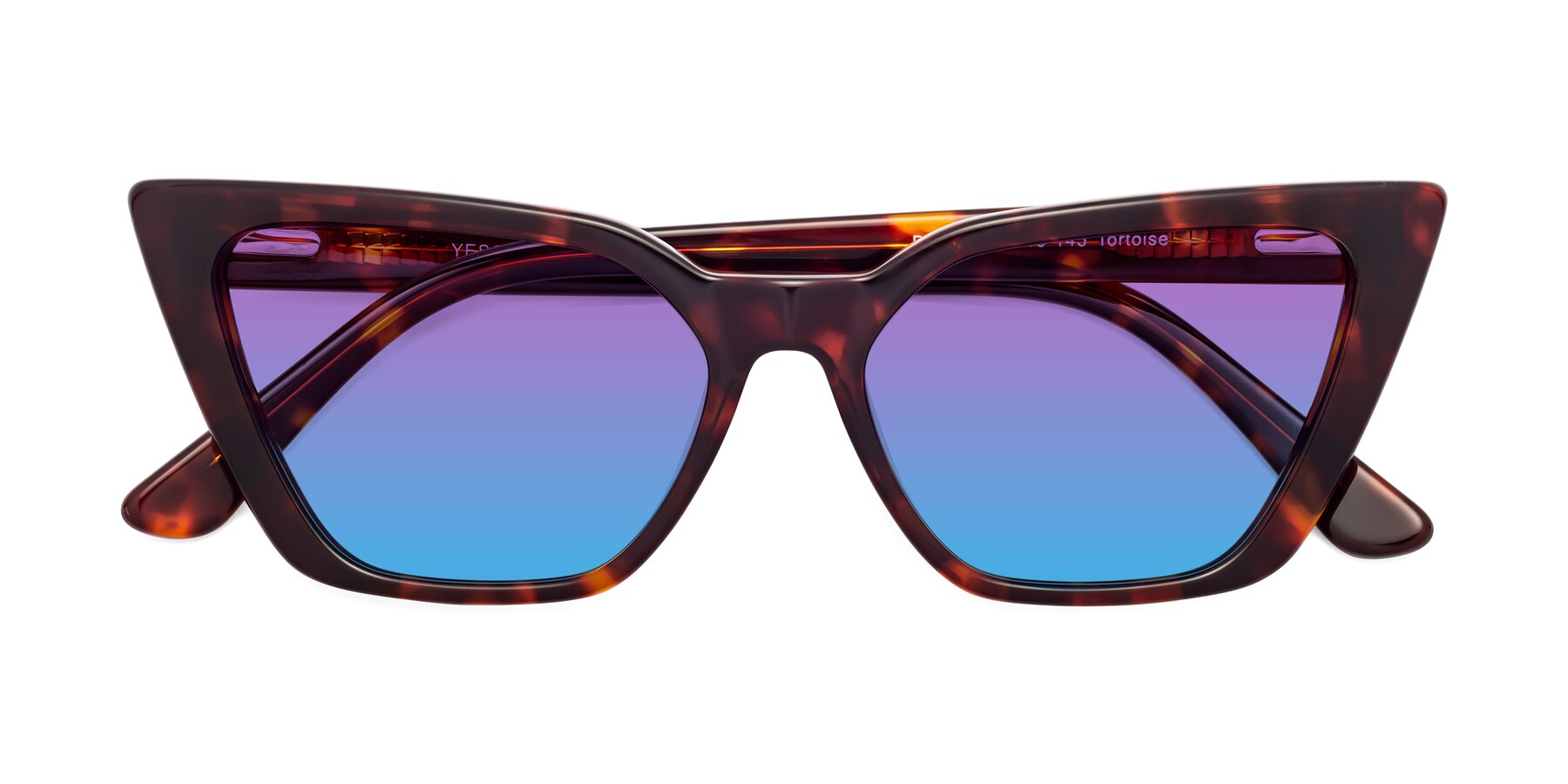 Folded Front of Bowtie in Tortoise with Purple / Blue Gradient Lenses