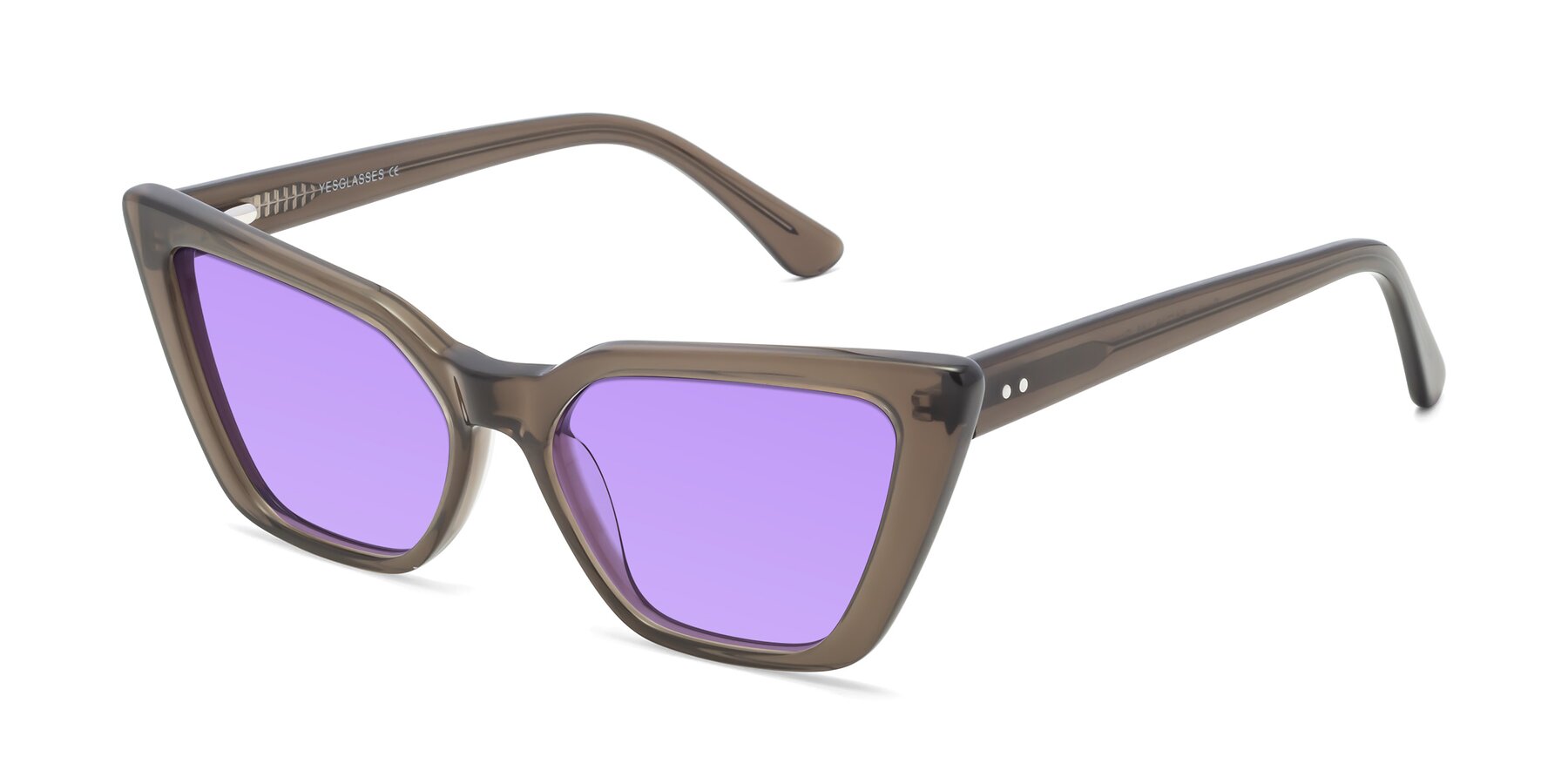 Angle of Bowtie in Gradient Green with Medium Purple Tinted Lenses