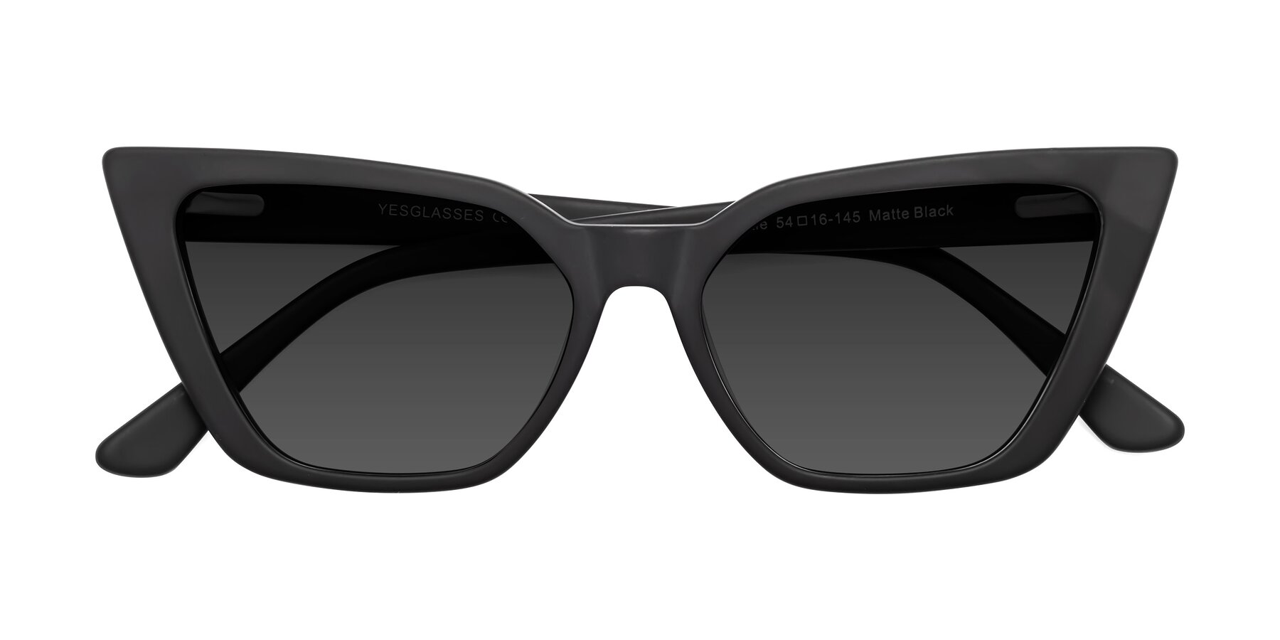 Folded Front of Bowtie in Matte Black with Gray Tinted Lenses