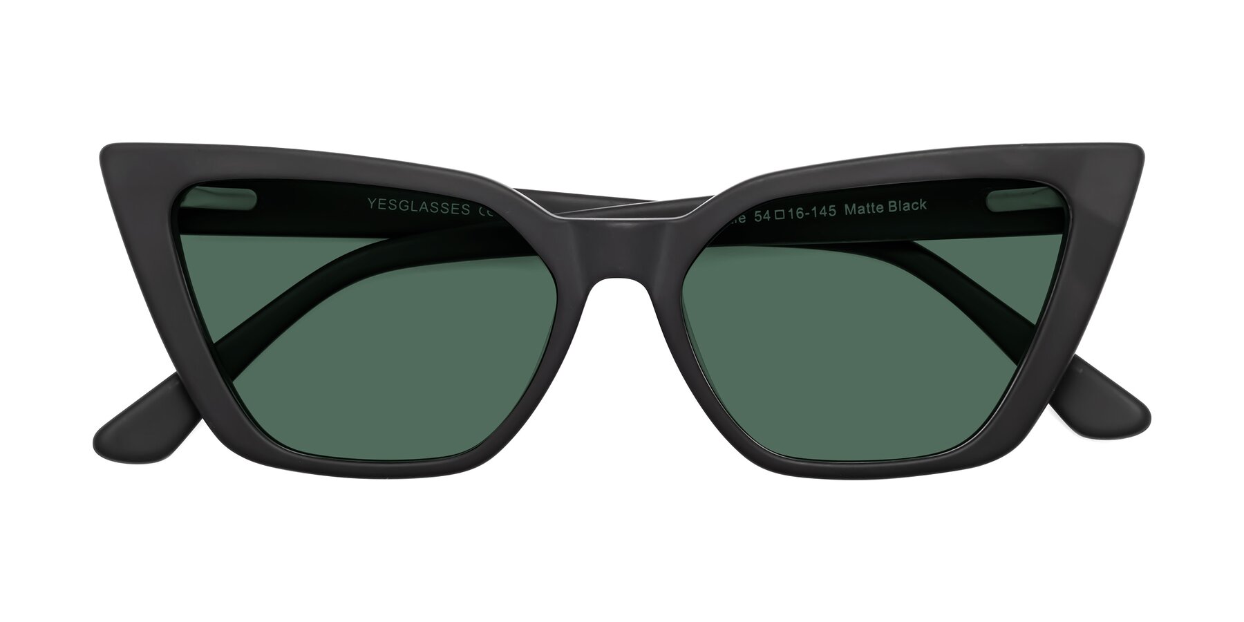 Folded Front of Bowtie in Matte Black with Green Polarized Lenses