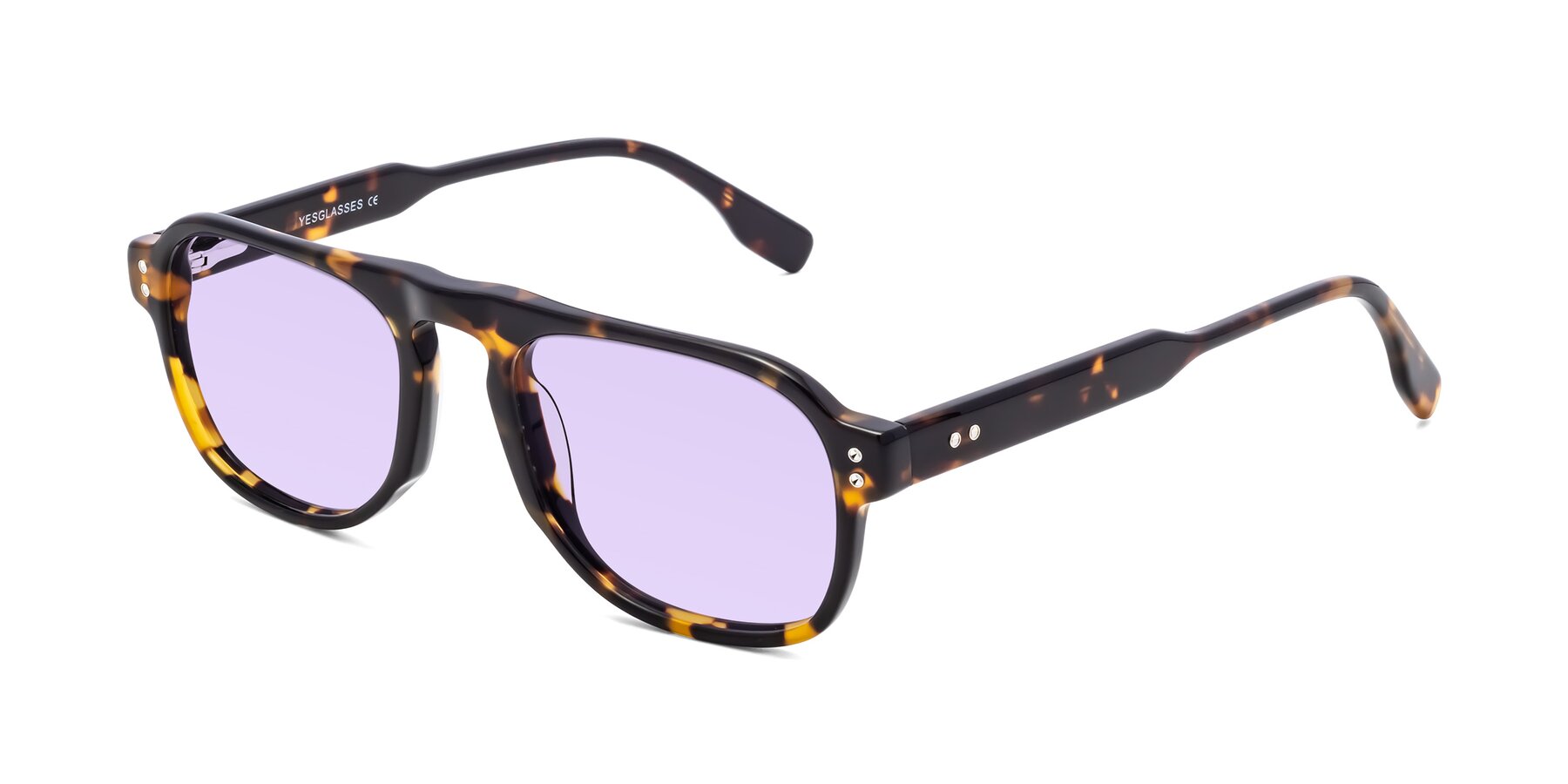 Angle of Pamban in Tortoise with Light Purple Tinted Lenses