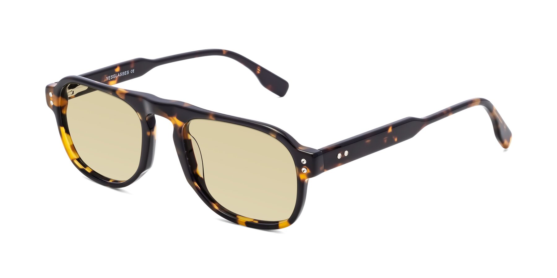 Angle of Pamban in Tortoise with Light Champagne Tinted Lenses
