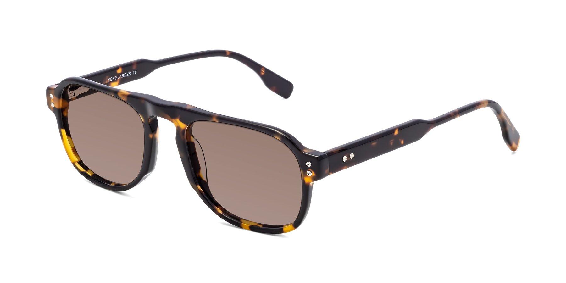 Angle of Pamban in Tortoise with Medium Brown Tinted Lenses