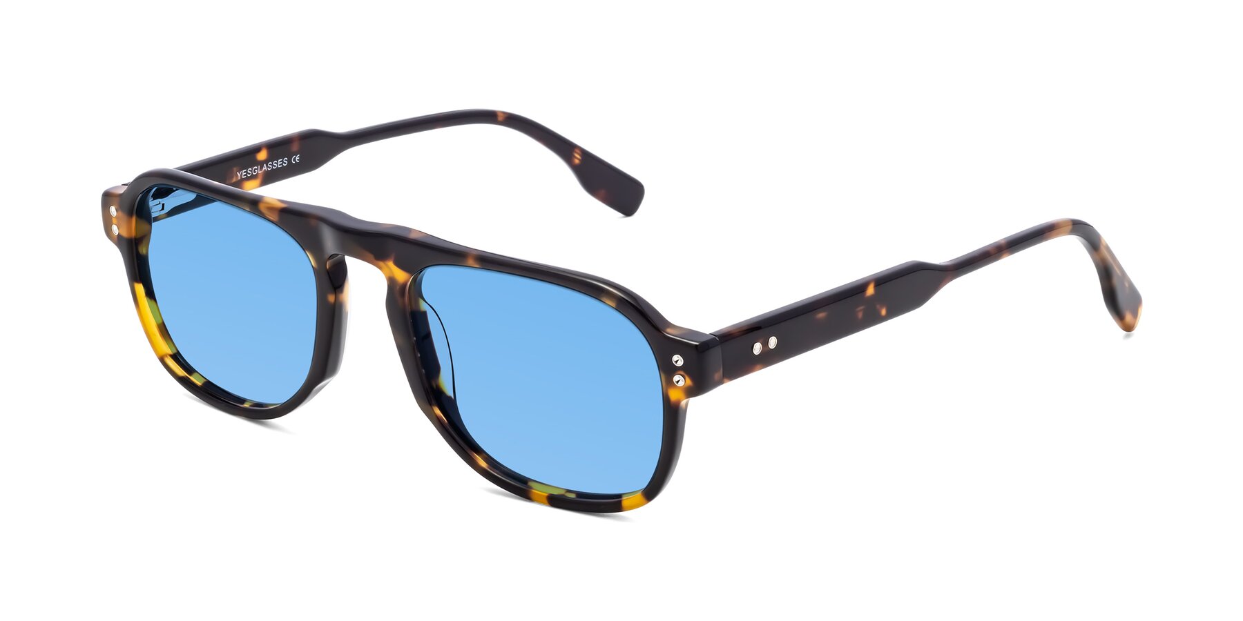 Angle of Pamban in Tortoise with Medium Blue Tinted Lenses