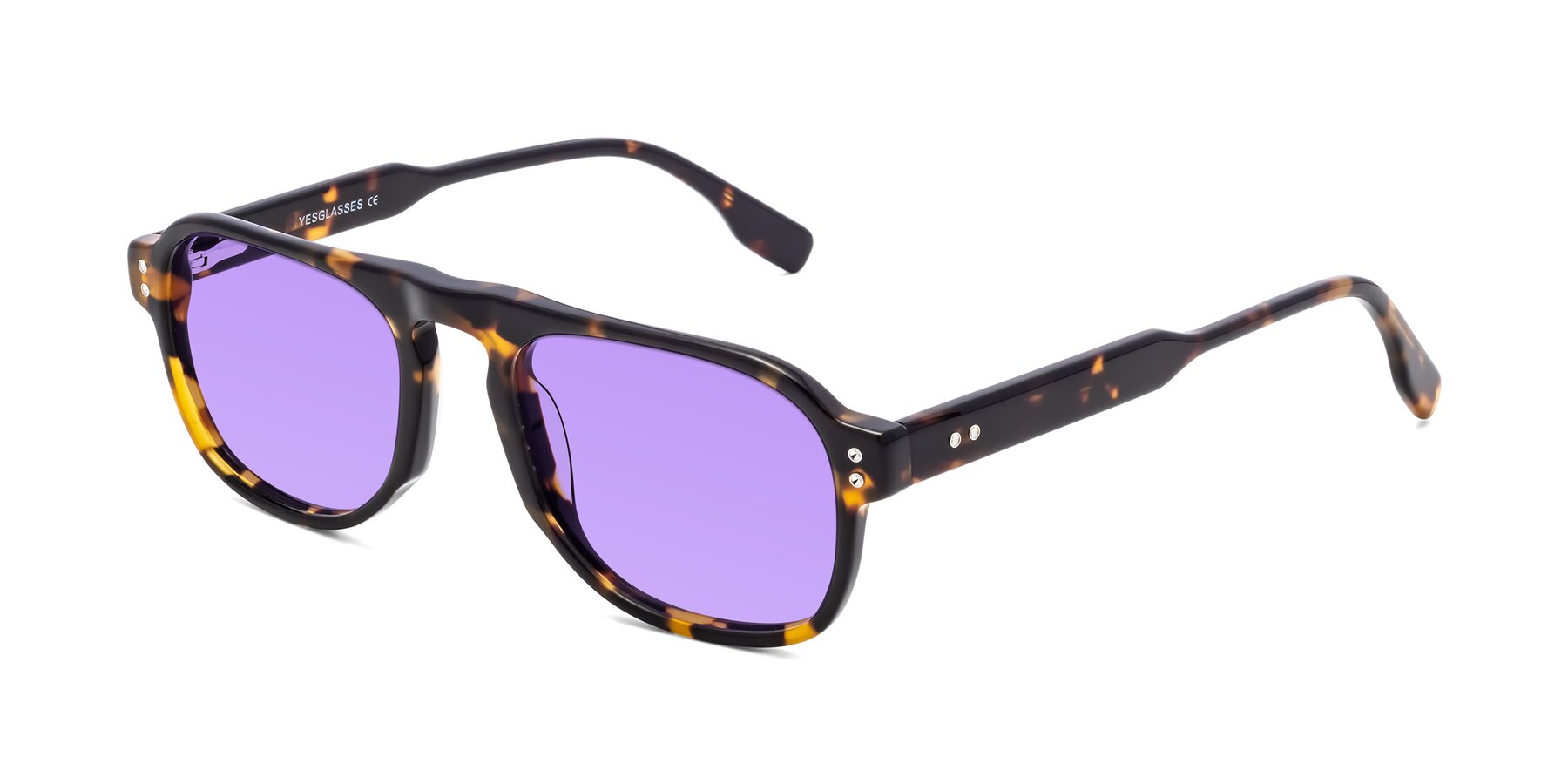 Angle of Pamban in Tortoise with Medium Purple Tinted Lenses