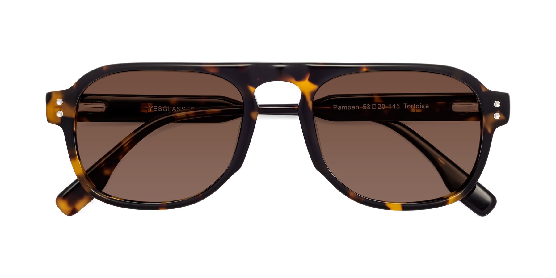 Folded Front of Pamban in Tortoise with Brown Tinted Lenses