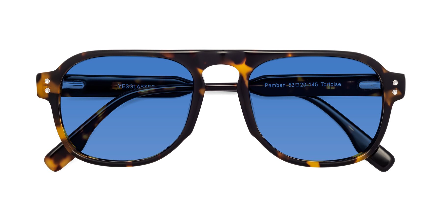 Folded Front of Pamban in Tortoise with Blue Tinted Lenses