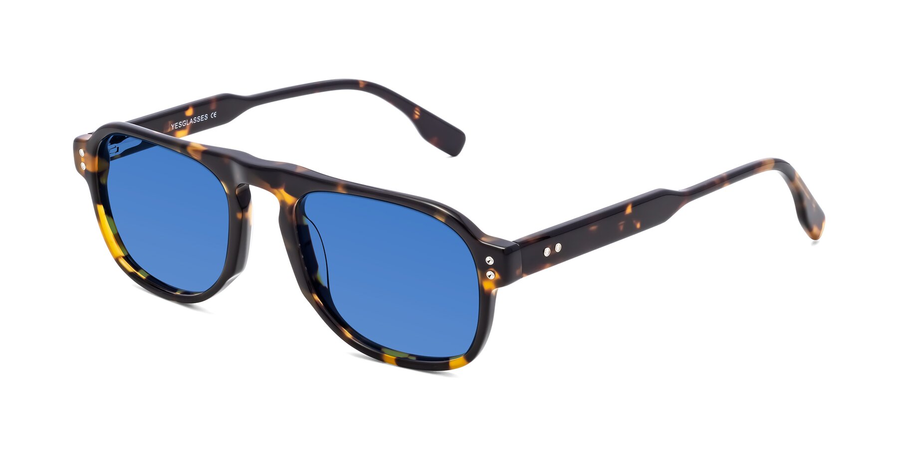 Angle of Pamban in Tortoise with Blue Tinted Lenses